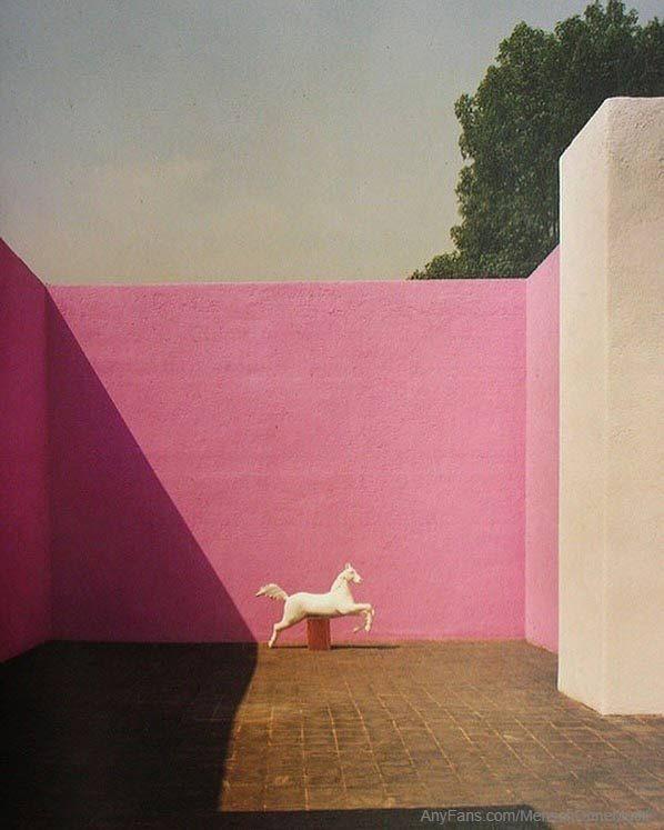 Luis Barragán (1902-1988)- Cas