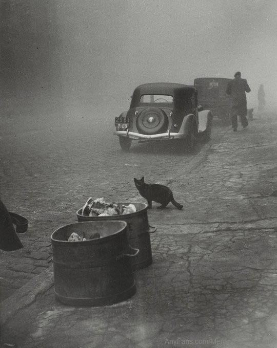 Sabine Weiss. Petit matin brum